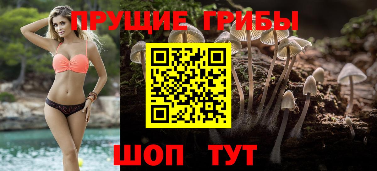 Псилоцибиновые грибы прущие грибы Железногорск